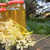 Syrop z kwiatów czarnego bzu – przepis i zastosowanie