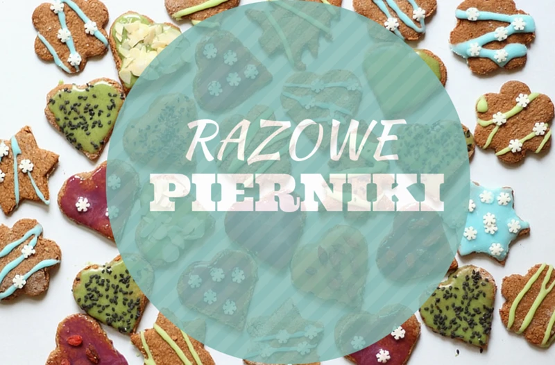 Razowe pierniki z naturalnym lukrem