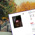 Te urocze solarne lampki z Lidla będą hitem jesieni! Tylko 26 zł, bez kabli i rachunków,  a efekt jak z zaczarowanego ogrodu