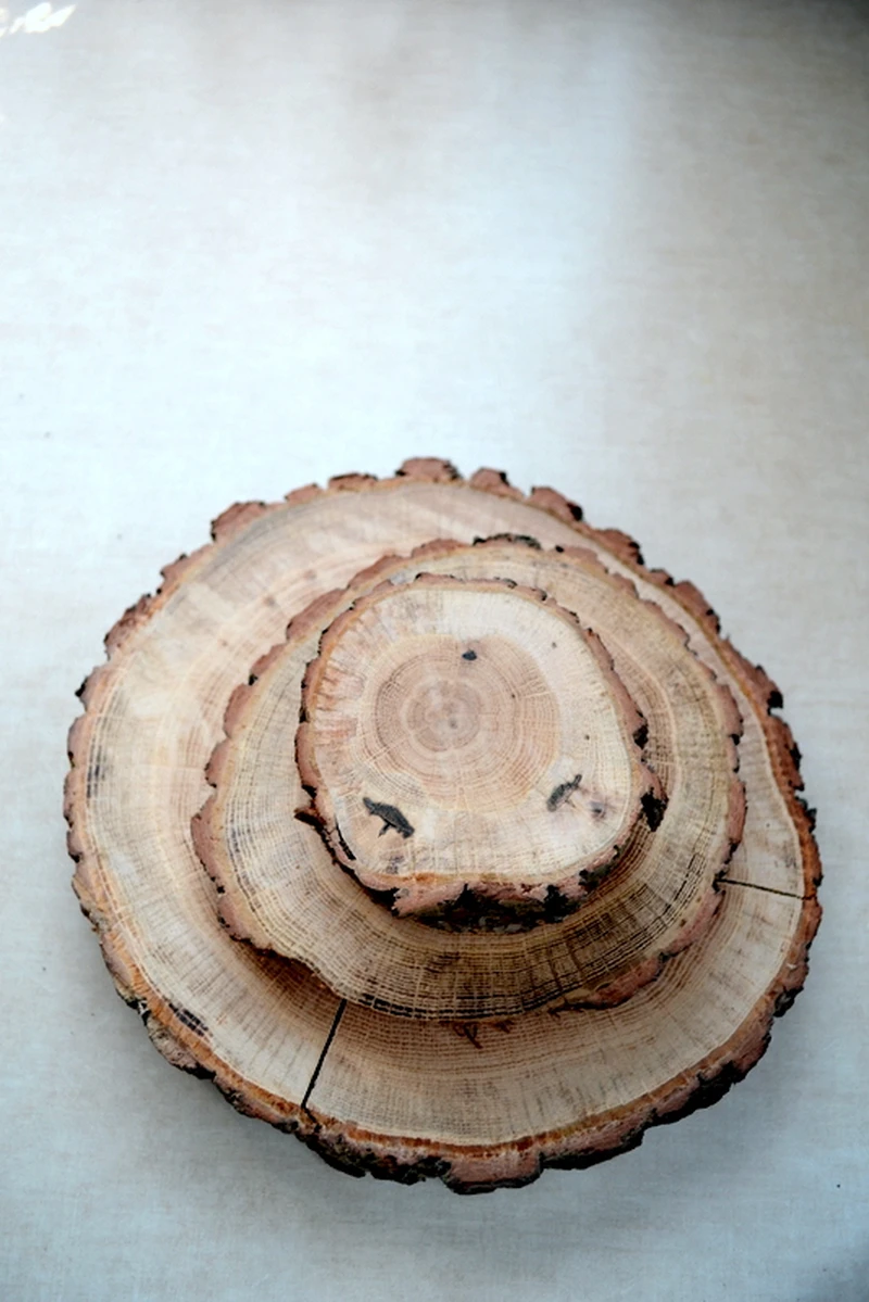 DIY :drewniane plastry podkładki