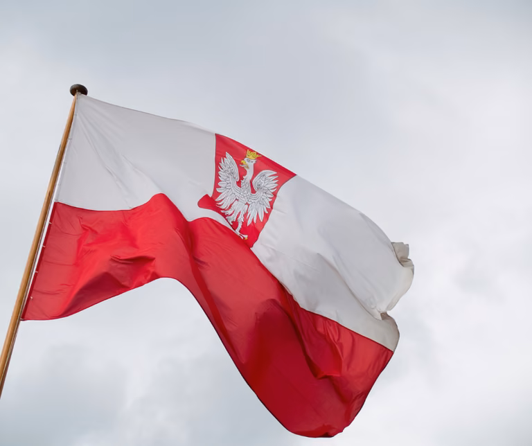 Godło Polski. Jaki ptak na nim widnieje? Odpowiedź może zaskoczyć!