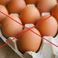 Nie jedz jajek z Biedronki i Carrefour. SĄ SKAŻONE – informuje Główny Lekarz Weterynarii