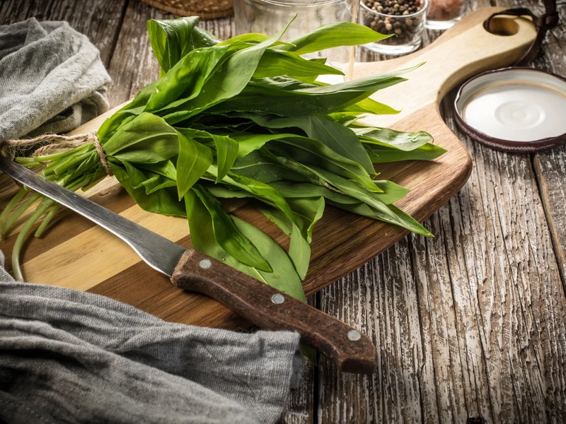Pesto z czosnku niedźwiedziego- jak je zrobić i dlaczego warto je jeść?