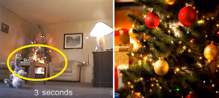 Zawsze wyłączaj lampki choinkowe na noc i podlewaj choinkę.  Zobacz co może się stać!(VIDEO)