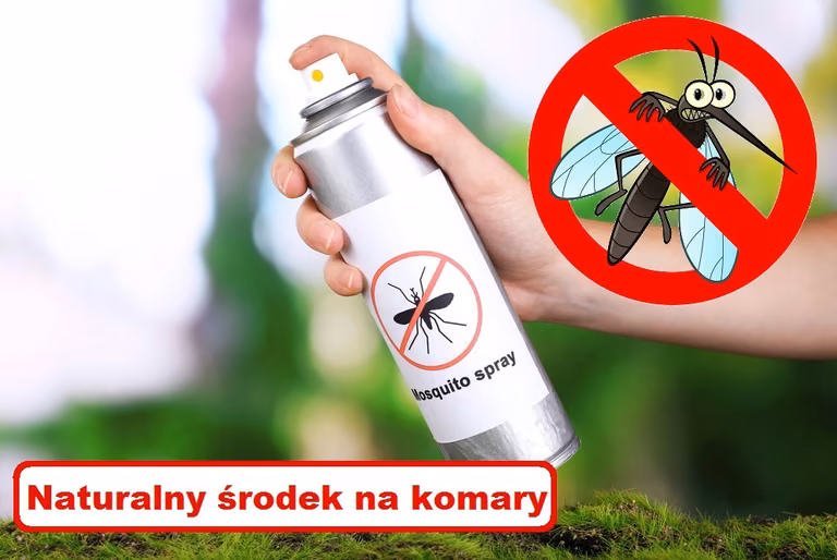 DOMOWY ŚRODEK NA KOMARY – super przepis!