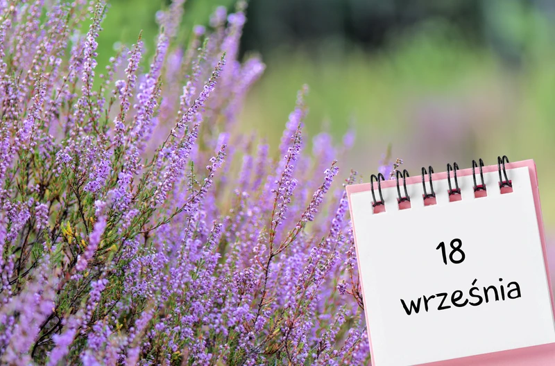 Kartka z kalendarza: 18 września - imieniny, gwiazdy, nietypowe święta! Odkryj sekrety tego dnia!
