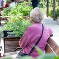 Sejm przyjął rentę wdowią! Trzeba uważać jednak na limit wieku oraz inne "haczyki w przepisach!
