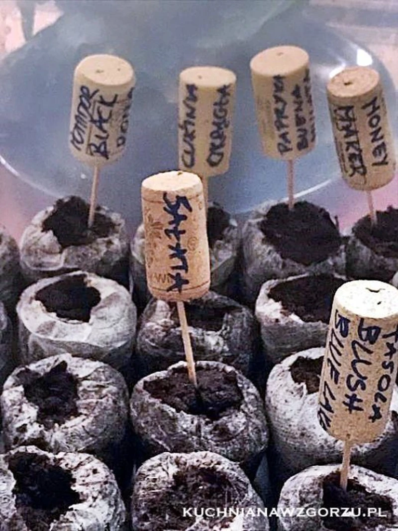 Jak zrobić tabliczki do opisu roślin - Zero waste