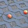 5 ekologicznych nawierzchni wokół domu