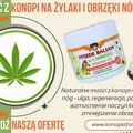 Maści z konopi na żylaki i obrzęki nóg
