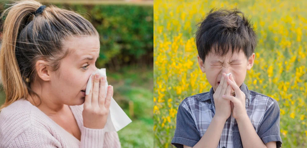 Przeziębienie czy alergia? Jak je odróżnić?