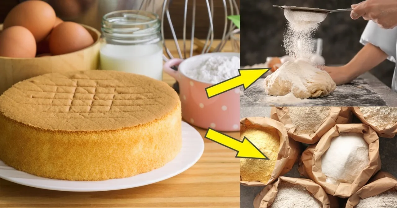 Czym różnią się poszczególne typy mąki? Jaki typ do jakiej potrawy?
