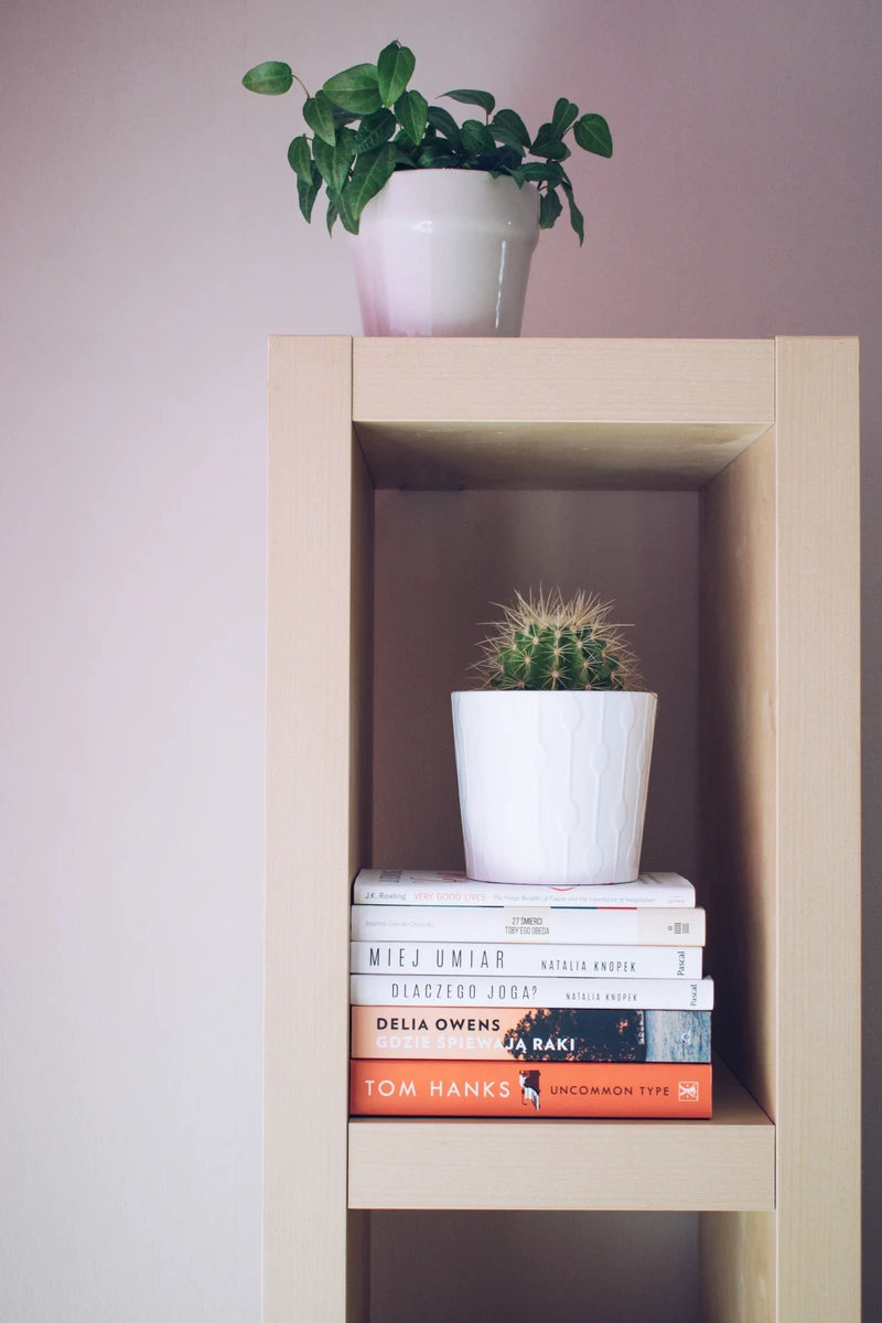 My 2020 reading list | lista książek, które chciałabym przeczytać w tym roku