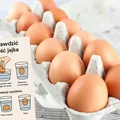 Jeśli jajko unosi się na wodzie – nie jedz go! Zrób TEST świeżości w 30 sekund – tylko woda i szklanka