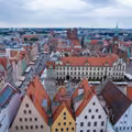 Inwazja szkodników we Wrocławiu! Trzeba uważać na żywność i chronić skórę!