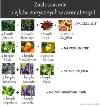 Kilka zastosowań mieszanek olejków eterycznych w Aromaterapii