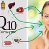 Koenzym Q10 – sekret młodości. Co jeść, aby wytwarzać go więcej?