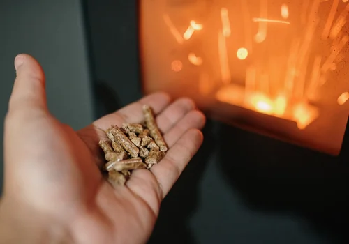 Dlaczego w Polsce brakuje teraz pelletu? Odpowiedź jest prostsza, niż myślisz