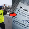 Nowe uprawnienia drogówki jeszcze w tym roku! Posypią się mandaty za “niewykonywanie poleceń”?