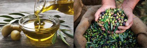 Jak kupić dobrą oliwę?  Najważniejsze informacje o jej zastosowaniu i przechowywaniu!