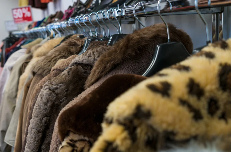 Dzień Sztucznego Futra: Etyczna Alternatywa dla Modowej Elegancji