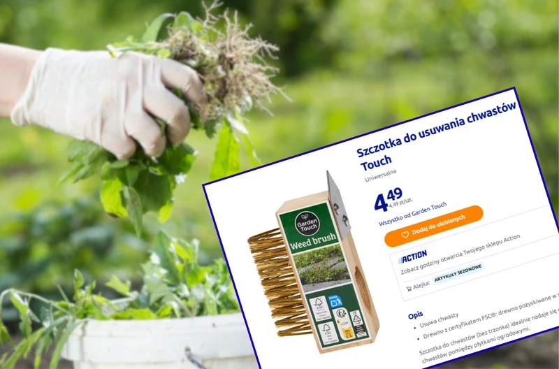 Ta szczotka z Action za 4 zł to wiosenny hit klientów! Chwasty nie mają szans - łatwe i przyjemne czyszczenie chodnika i kostki