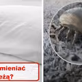 A Ty jak często ZMIENIASZ POŚCIEL?