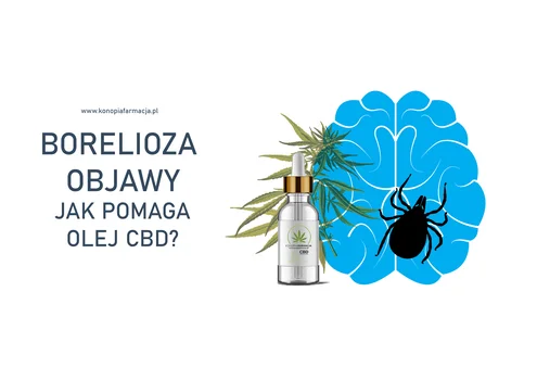 BORELIOZA OBJAWY - JAK POMAGA OLEJ CBD