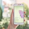 Tapeta na telefon z bzem - do pobrania