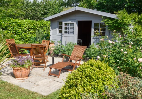 Ten zakazany krzew na posesji może kosztować nawet 5 tys. zł grzywny! Lepiej sprawdzić swoje działki i ogródki