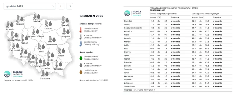 Zdjęcie Jest pierwsza prognoza pogody na zimę 2025/2026! Już wiadomo, czy w Polsce będziemy mieć białe Święta #1