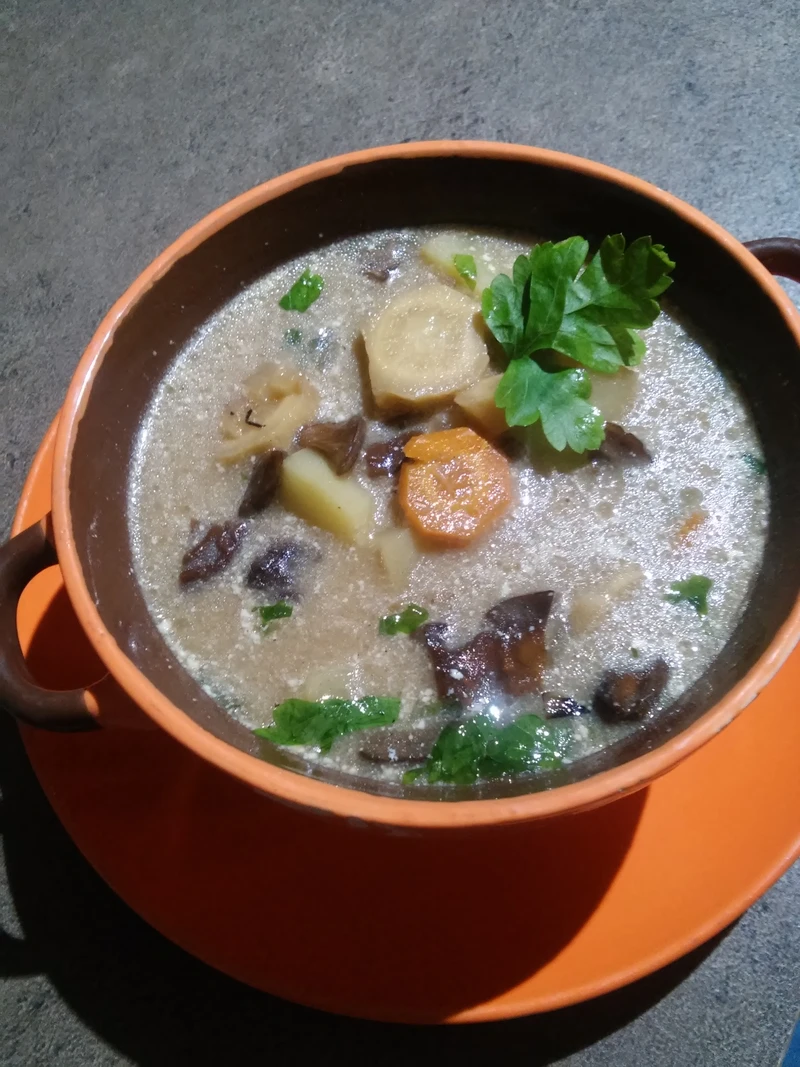 Aromatyczna zupa grzybowa