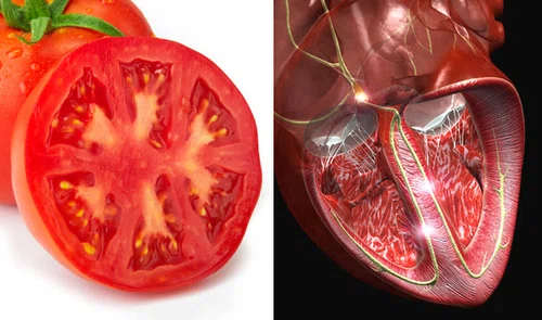 Owoce i warzywa, które wyglądają tak, jak narządy, które leczą!