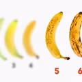 6 niezwykłych właściwości bananów, które musisz poznać!