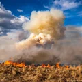 Pożar w największym parku narodowym w Polsce! Ogień rozciąga się już na ponad kilometr!