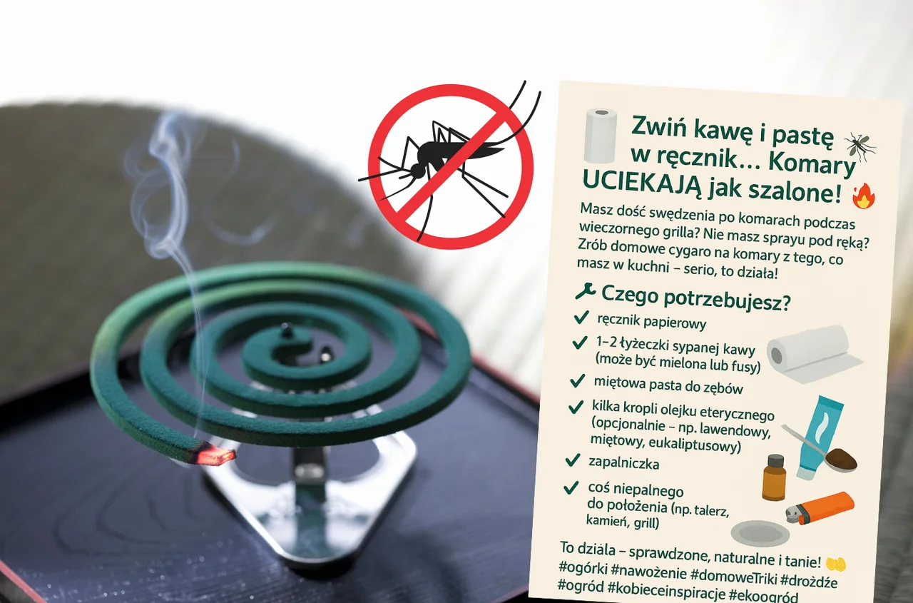 Zwiń kawę i pastę w ręcznik… Komary UCIEKAJĄ jak szalone! To „domowe cygaro” uratuje Twój wieczór w ogrodzie