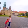 Zamek Królewski na Wawelu