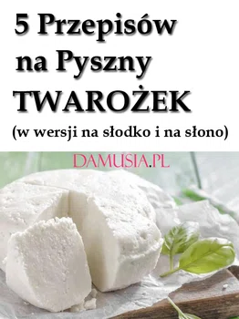 5 Przepisów na Pyszny Twarożek- Zdrowy i Sycący Posiłek w Ciągu Dnia