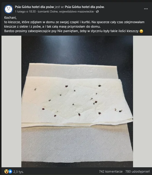 Zdjęcie Zimowa plaga kleszczy?! Właściciele psów biją na alarm! #1