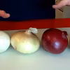 Cebula cebuli nierówna! Zobacz czym się różnią. Rodzaje cebuli i ich zastosowanie.