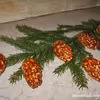 Szyszki z ryżu preparowanego