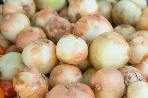 Zdjęcie Cebula cebuli nierówna! Zobacz czym się różnią. Rodzaje cebuli i ich zastosowanie. #5