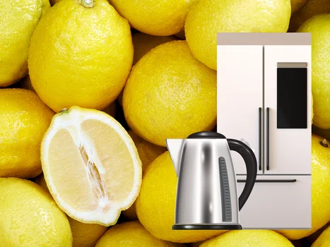 10 nietypowych zastosowań cytryny w domu. Sprawdź koniecznie!