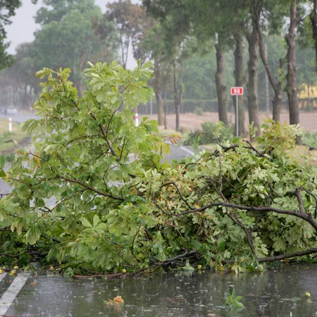 Silny wiatr uderzy w niemal całą Polskę. Alerty IMGW w 13 województwach!