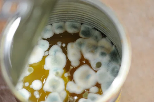 Spleśniałe ciastka i zepsute ryby - kontrole w polskich sklepach ujawniły szokującą prawdę