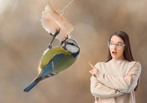 Słonina nie zawsze pomaga! Kiedy szkodzi ptakom bardziej niż pomaga?