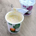 Bezmleczne desery roślinne Koko Yogo i Yagły Yogo - test.