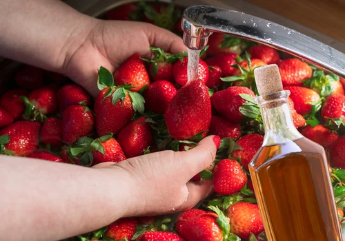 Dodaj jedną łyżkę, a truskawki nie spleśnieją! Ten trik przedłuży ich świeżość