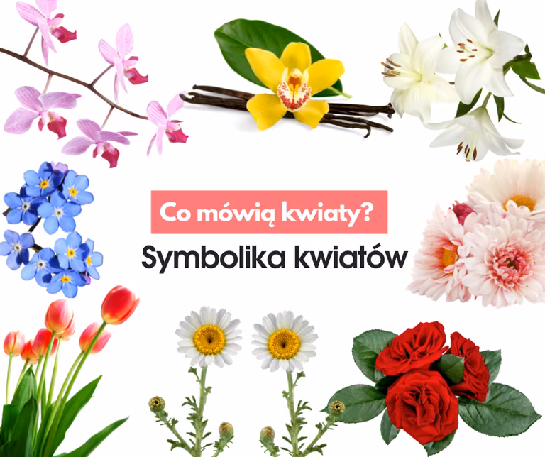 Symbolika kwiatów. Poznaj znaczenie najpopularniejszych kwiatów.