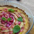 Tarta z rabarbarem